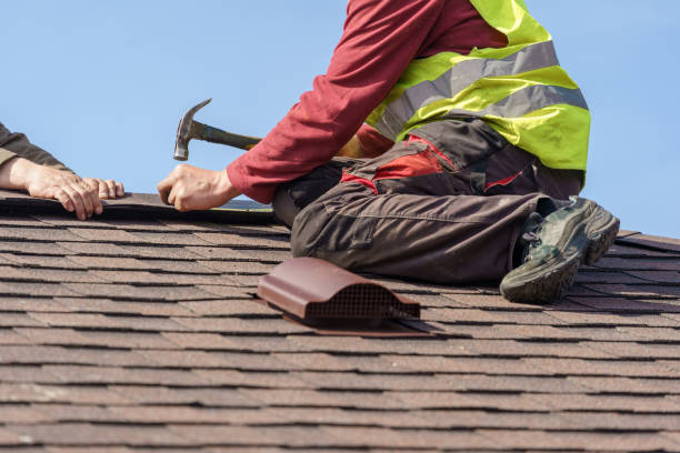 Best Roof Gutter Cleaning  in St George, MO